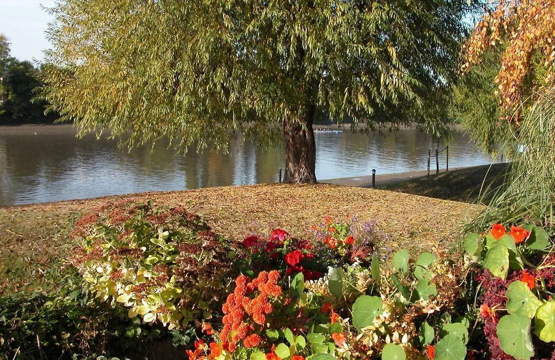 Chiswick Riviera With Free Parking-1